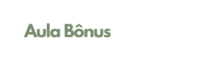 Aula Bônus