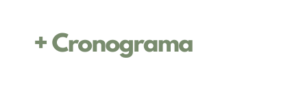 Cronograma
