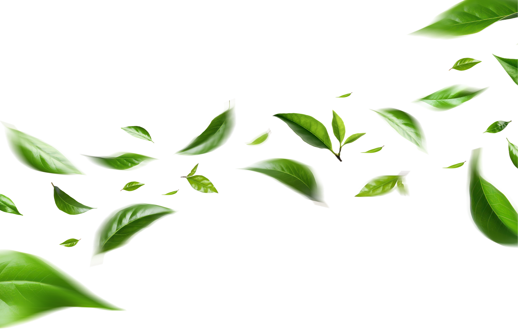 Green Floating Leaves Flying Leaves Green Leaf Dancing, Air Purifier Atmosphere Simple Main Picture	