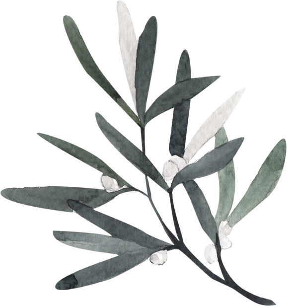 Snowberries leaves watercolor illustration